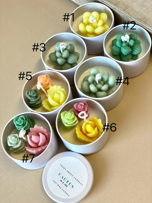 Artisan Cactus Jar Candle